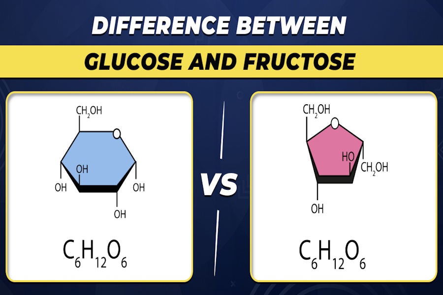 The difference between glucose and fructose. Khác nhau giữa Glucose và Fructose