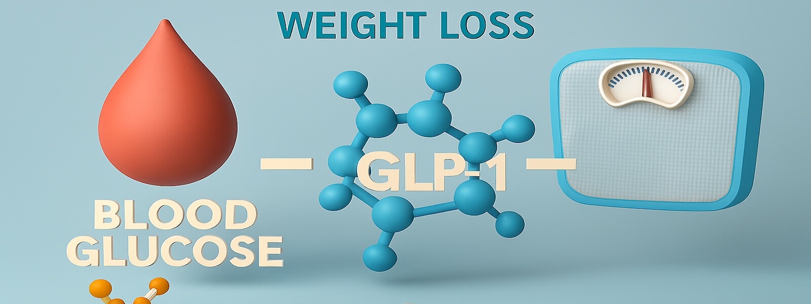 GLP-1 giảm glucose máu và giảm cân.