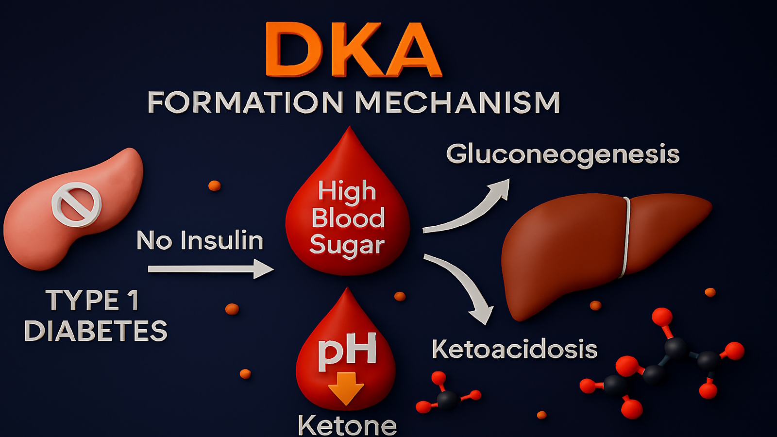 High Blood Sugar và ảnh hưởng đến chức năng gan, hình ảnh về bệnh tiểu đường type 1, cơ chế hình thành DKA, glucose, cholesterol, bệnh tiểu đường, khám chữa tiểu đường tại daithaoduong.com.