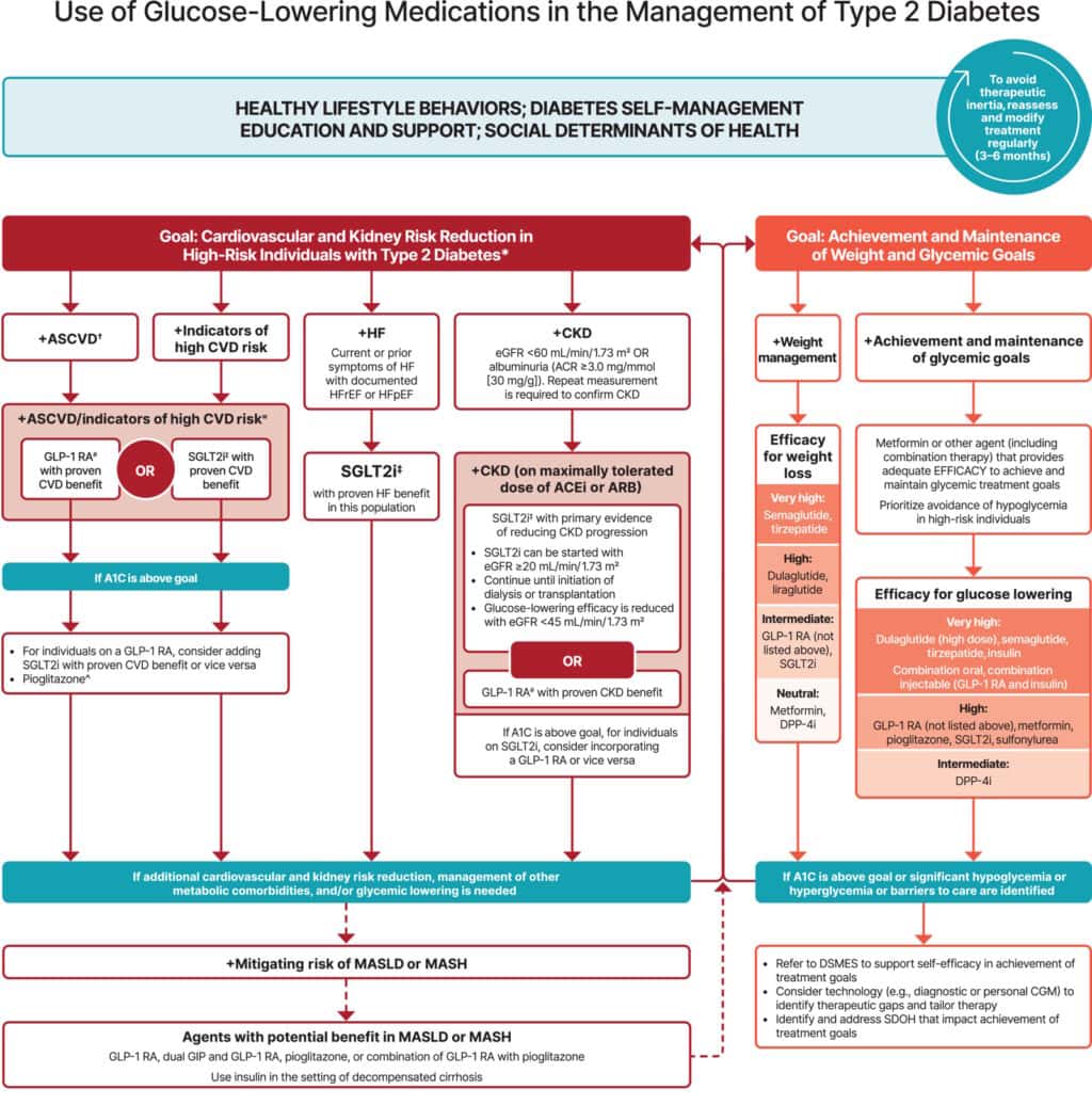 Sơ đồ hướng dẫn dùng thuốc hạ đường huyết cho tiểu đường tuýp 2