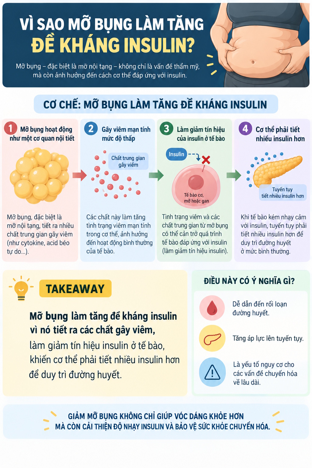 Mỡ bụng và tăng đề kháng insulin