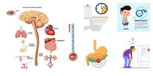Bệnh thần kinh tự chủ do đái tháo đường – Diabetic Autonomic Neuropathy