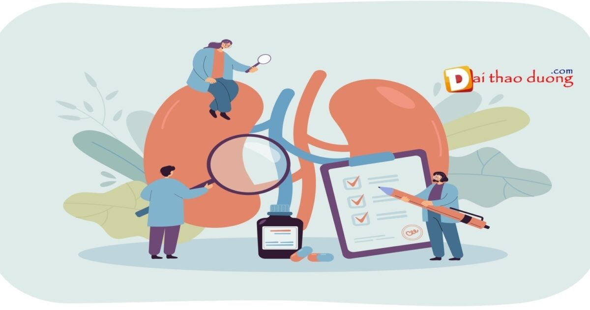 Tính độ lọc cầu thận ước tính eGFR để đánh giá suy thận mạn