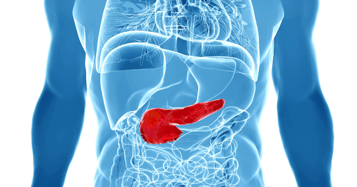 Hình minh họa tuyến tụy trong cơ thể người.