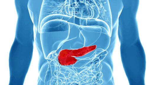 Hình minh họa tuyến tụy trong cơ thể người.
