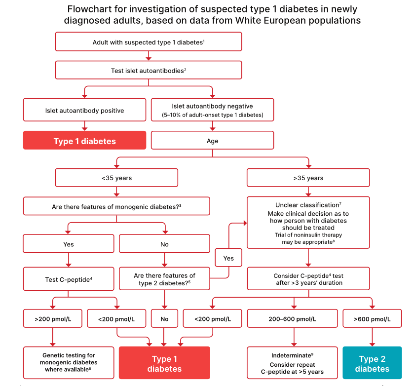 SƠ ĐỒ CHẨN ĐOÁN ĐÁI THÁO ĐƯỜNG TYPE 1 Ở NGƯỜI LỚN