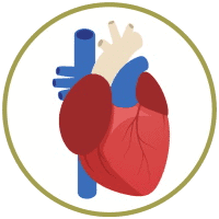 Biến chứng tim mạch do đái tháo đường