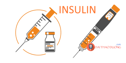 Cách chỉnh liều insulin