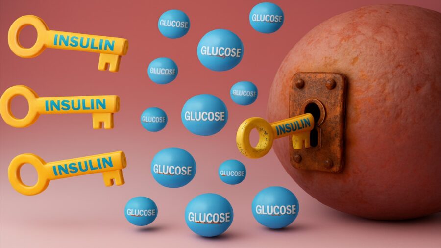 Chìa khóa insulin và glucose, cơ chế kiểm soát đường.
