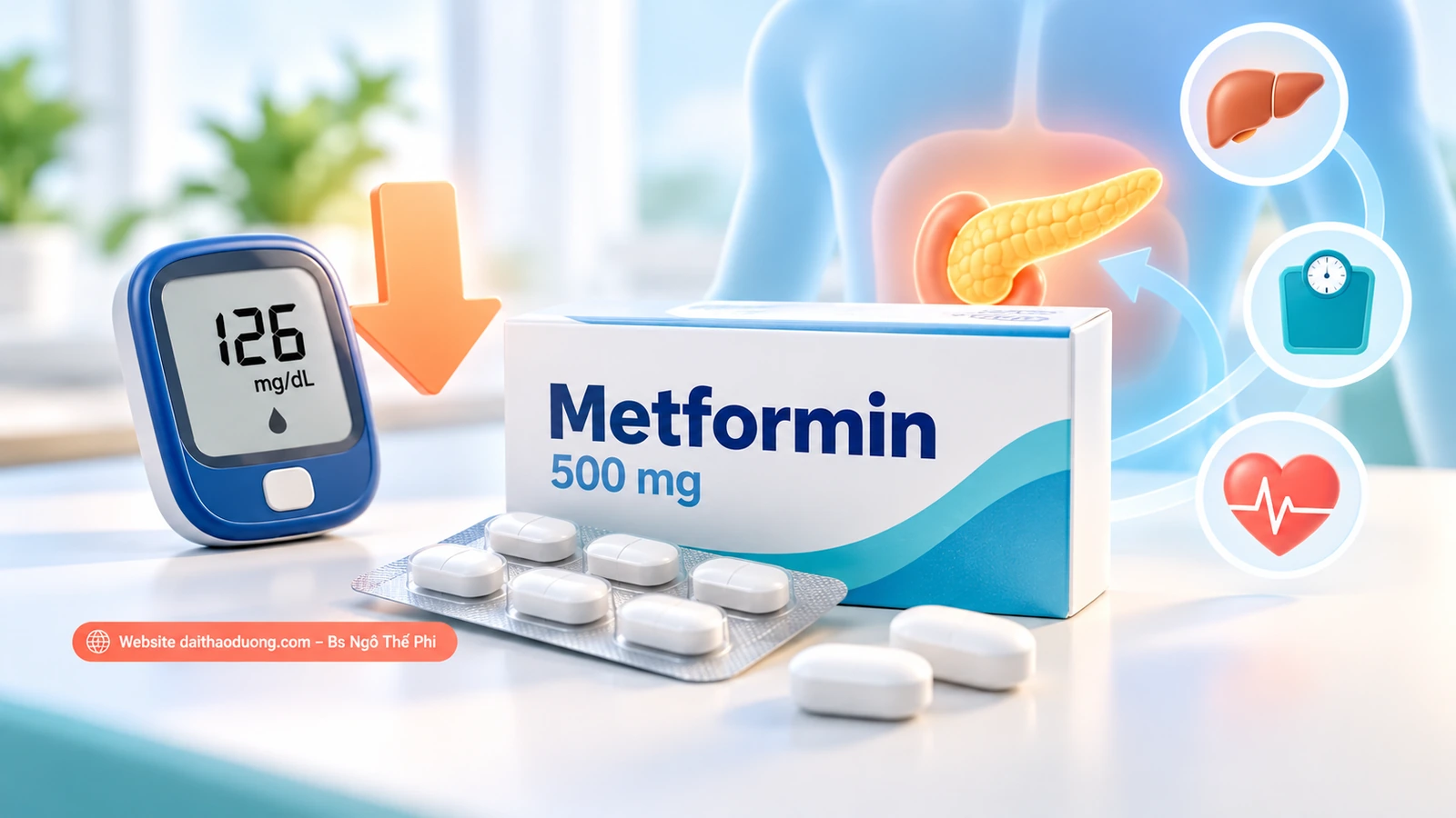 Vai trò thuốc Metformin trong điều trị đái tháo đường type 2