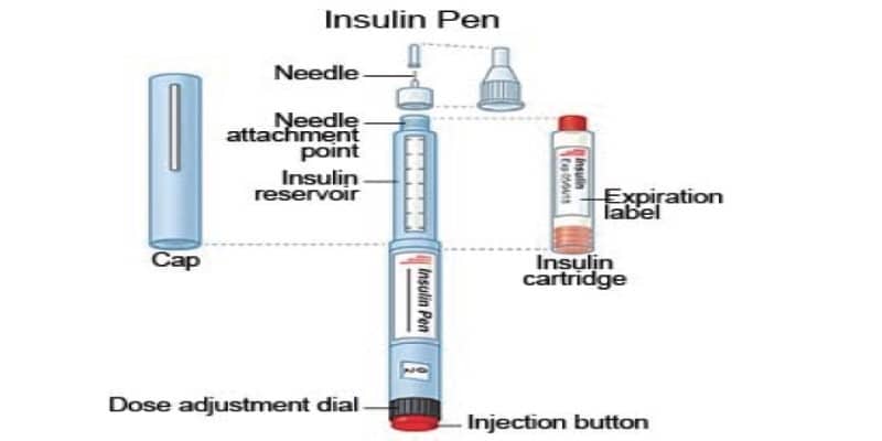 Cấu trúc bút tiêm insulin cartridge 